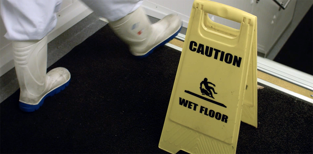 health and safety software