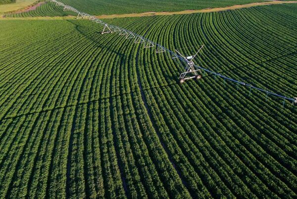 Streamlining Field Operations and Asset Management